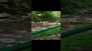 Лазаревское 2024 _ Июль _ Дорога к Свирскому ущелью