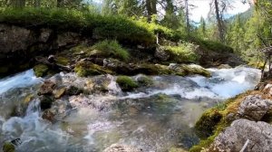 ОСТАЛИСЬ ДОМА ОДНИ, ТЕЩА И ЗЯТЬ...l РАССКАЖУ ТЕБЕ. ЛЮБОВНЫЕ ИСТОРИИ.