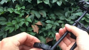 Кивер для лука с AliExpress