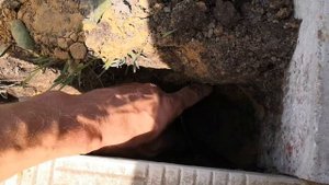 Бордюр на даче своими руками 2