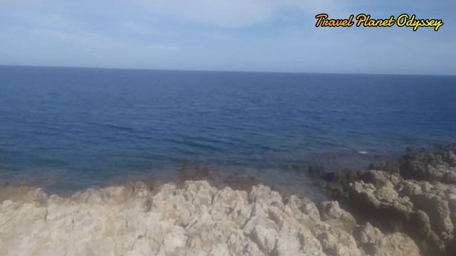 Ocean Waves 11/11/2023 & танец на сцене смотреть онлайн