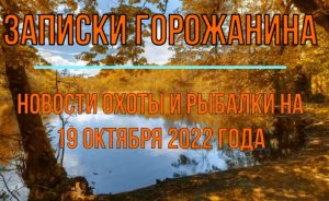 Охота. Рыбалка. Новости на 19 октября 2022 года