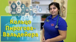 "Кольцо Пирогова - Вальдейера" занятия проводит Бикбаева Сусанна