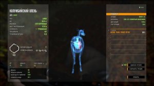 the hunter call of the wild Охота, стреляем с винтовки Страдивариус  #2 Хантер кал оф зе вайлд