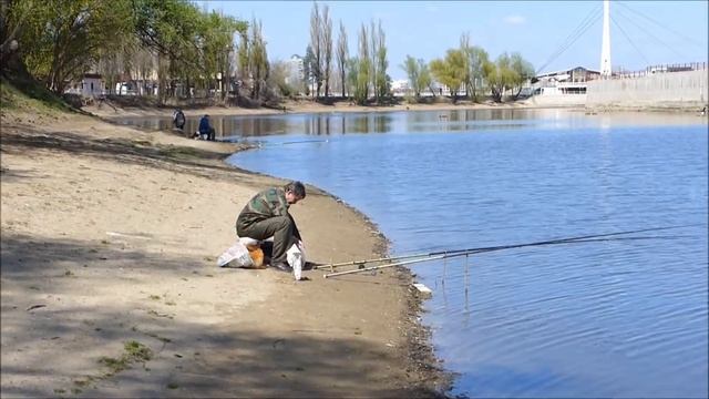 Рыбалка в реке Кубань. Краснодарский Затон. смотреть онлайн