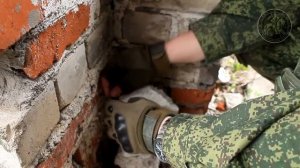 Установка страйкбольной растяжки # Scara Regis Страйкбол Уссурийск