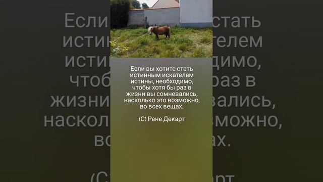 Если вы хотите стать истинным искателем истины... 🤗🌺🌿