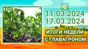 Итоги недели с ГлавАгроном. 11.03.2024 - 17.03.2024