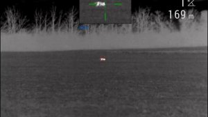 Охота на лису 01.12.21 с тепловизором Пульсар Pulsar Trail 2 LRF XP50 и карабин Blaser R8 308win