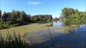 Ловля на неогруженную резину 2