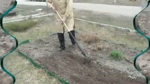Культиватор -плоскорез Дракон (Судогодское РТП)