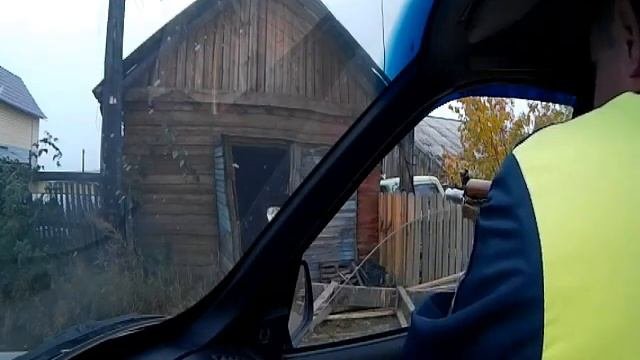 Полицейские застрелили медведя