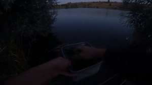 Рыбалка с Михалычем. Ночной клёв карпа и карася.