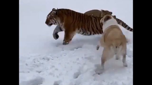 И такая дружба бывает смотреть онлайн