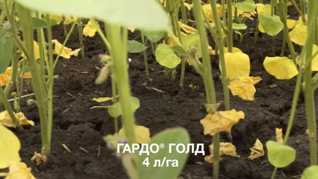 Защита посевов сои, Пенза смотреть онлайн