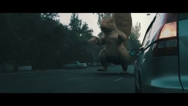 Страшная белка смотреть онлайн