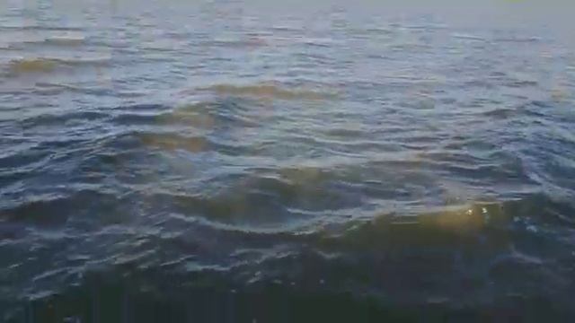 краснодарский край привольная мы сделать пол сладкий лиман для рыбалки смотреть онлайн