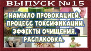 Что такое намыло? Процесс токсификации. 3 фазы пищевого взаимодействия. Эффект коксования.