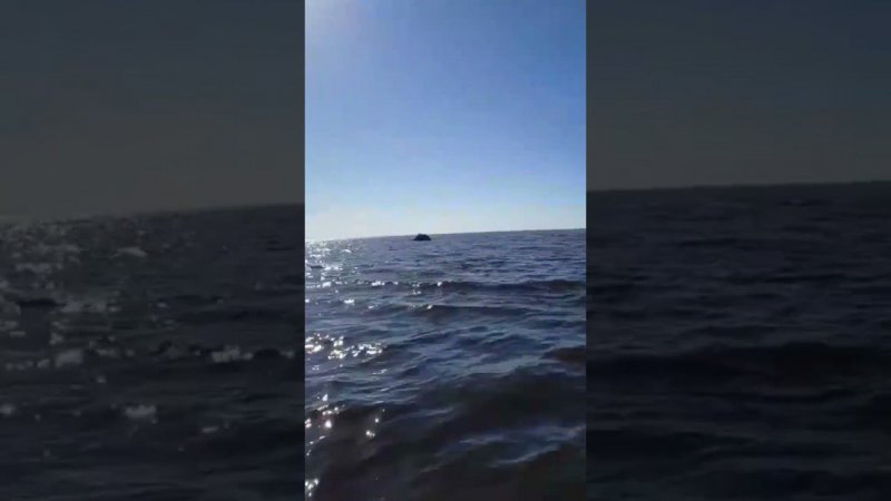 Лодка Тунец 580 от AkuaBoat - изготовление пластиковых лодок на заказ