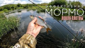 Мормышинг. Ловим ровную плотву