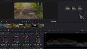 Color Grade iPhone 15 Apple LOG Footage in Davinci Resolve Like A Pro!