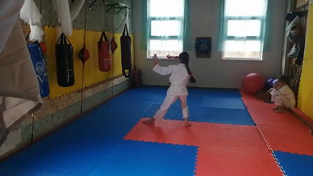 Тренировка карате.Выполнение изученных ката.Разучивание новых .28 января 2024 г. смотреть онлайн