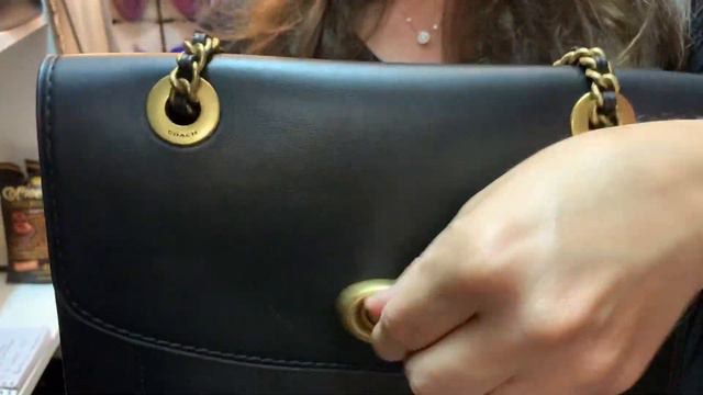 Coach Charlie carryall and Coach Parker wear and tear update + God speaking through a leaf testimon смотреть онлайн