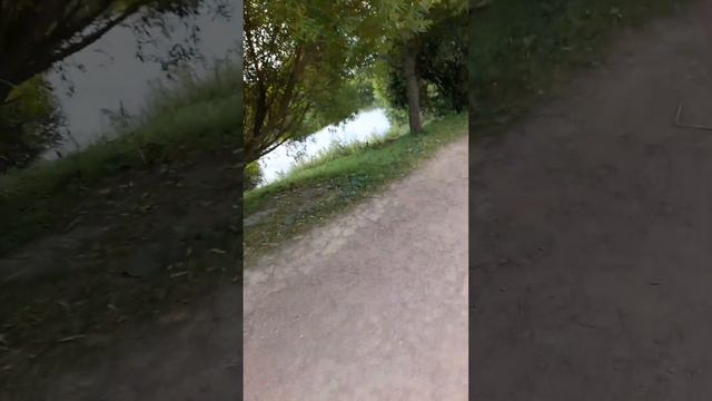 Условия есть,было бы желание смотреть онлайн