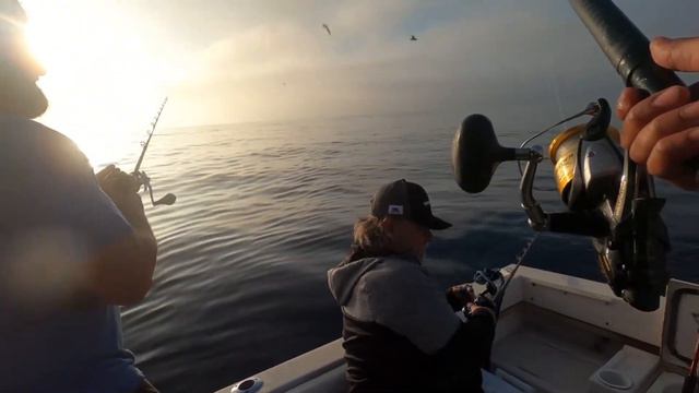 Mahi-mahi in Mexican waters 10-30-2020 смотреть онлайн