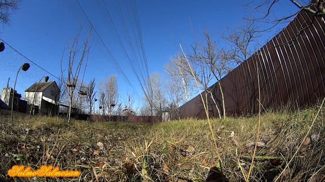 Ловля певчих птиц - Выход между прочим. смотреть онлайн