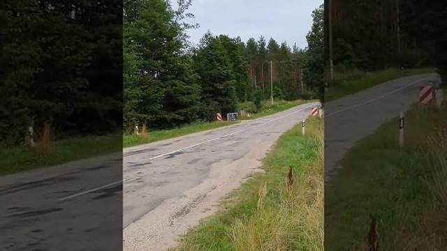 Андрей Скороход в Латвии - Цой