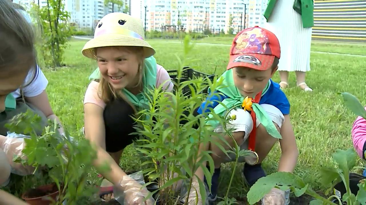 Короткое видео юные. Движение юных экологов. Юный эколог. Юный эколог фото. Фото на тему юные экологи.