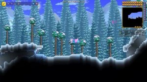 СИД НА СНЕЖНУЮ БУРЮ В БУТЫЛКЕ | Terraria (1.4.4.9)