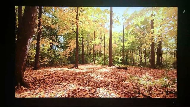 مانیتور پروآرت ایسوس Asus ProArt PA278VQ | IPS | QHD 2K смотреть онлайн