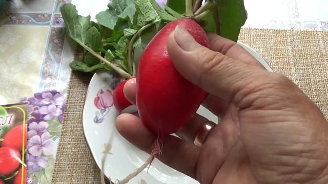 В жару посеем редис не стрелкующий! смотреть онлайн