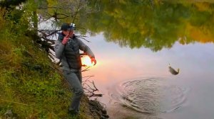 РАЗВЕДКА ПО ЩУЧЬИМ МЕСТАМ. Нашли много крупного окуня.  Вот это красота, просто как в сказке!