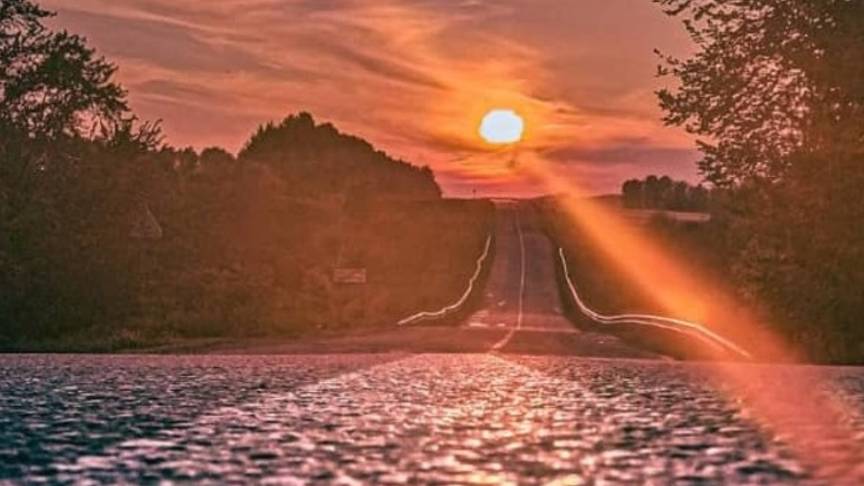 Путь домой смотреть онлайн