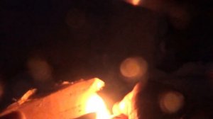 Выживание в тайге. Заблудился пришлось разводить костер, чтоб согреться. одиночный поход Сибирь