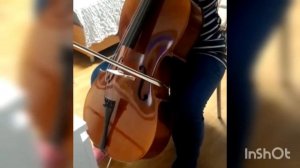 Виолончель 4/4 Paul Renard 2022 г.