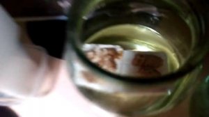 Мини разводня ампулярий | Разведение улиток ампулярий