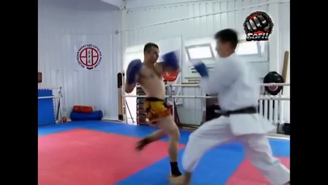 Кикбоксинг vs Сито рю каратэ