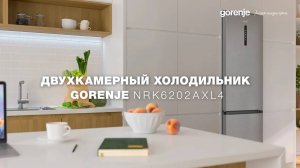 Холодильник Gorenje NRK6202AXL4