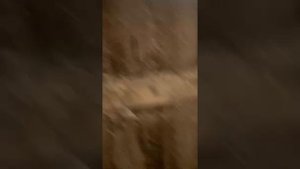 Зернодробилка Хопёр КИСКУ-2500-1