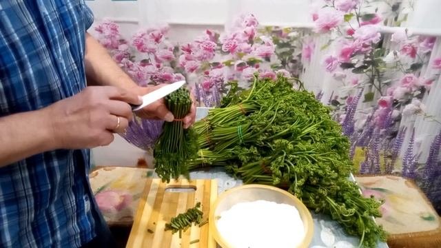 Как быстро посолить папоротник.