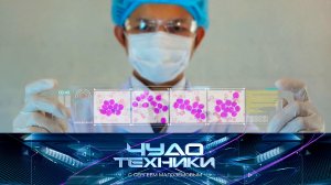 Возможности стволовых клеток, выбор подержанной техники и «умные» двери | «Чудо техники»