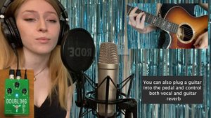 Flamma FV02 Doubling voice effect Pedal (Acoustic guitar song cover by Dina Dove)
