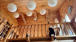 Уют, камин, коты, Чайковский. Осень. Рисую