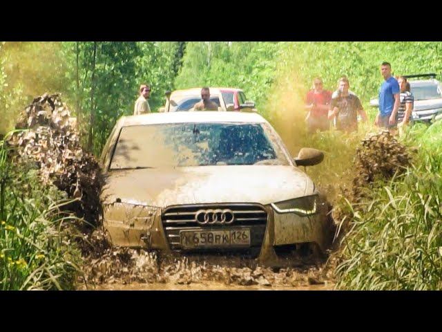 ВСЕ ОФИГЕЛИ. AUDI A6 против ВНЕДОРОЖНИКОВ на ЖЕСТКОМ БЕЗДОРОЖЬЕ