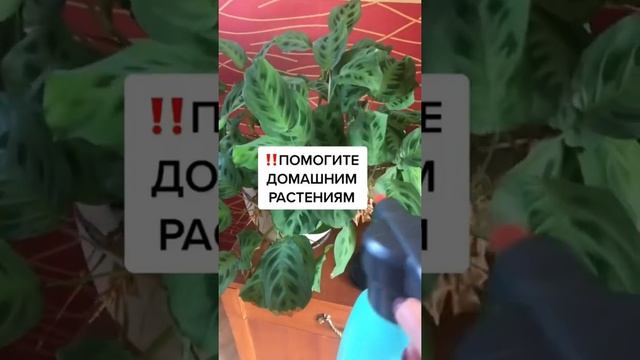 ?СБОРНИК ВИДЕО МИЛЛИОНЩИКИ! ??? ЛАЙФХАКИ ПРО ДАЧУ, САД И ОГОРОД. смотреть онлайн
