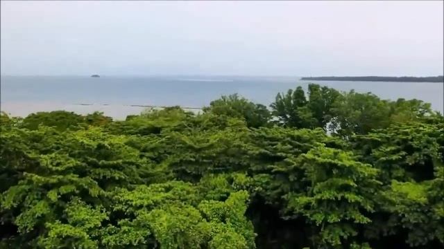 Нас ждёт новая реальность этого мира в кристальных энергиях, которые «звенят» своей чистотой смотреть онлайн